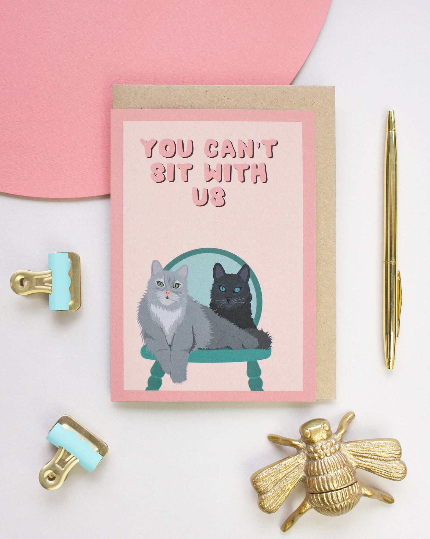 "Can't sit with us' Cat card